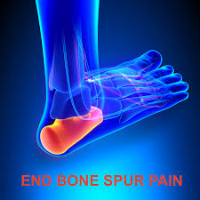 Ezorb Calcium Capsules 180 Count – Bone, Joint, and Muscle Support Supplement