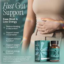 Bioma Probiotics – 3-in-1 Gut Health Formula for Digestive Health, Metabolism & Weight Support | 60 Capsules