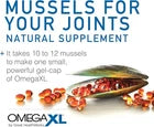 3 Pack OmegaXL Joint Health Supplement | 300 Softgels | Fresh USA Stock