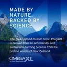 3 Pack OmegaXL Joint Health Supplement | 300 Softgels | Fresh USA Stock