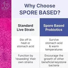 Mega Spore Biotic 60 Capsules | Gut Health & Digestive Support